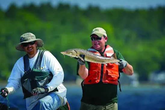 One-time funding won’t fix financial strain for DNR’s Fisheries Division